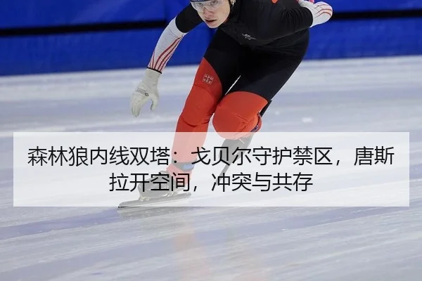 sen-lin-lang-nei-xian-shuang-ta-ge-bei-er-shou-hu-jin-qu-tang-si-la-kai-kong-jian-chong-tu-yu-gong-cun-2-699.jpg
