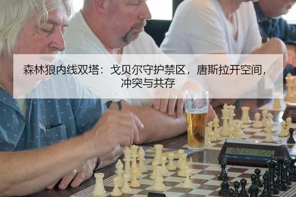 森林狼内线双塔：戈贝尔守护禁区，唐斯拉开空间，冲突与共存