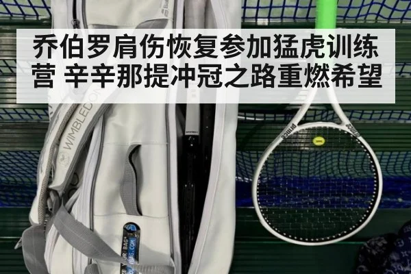 乔伯罗肩伤恢复参加猛虎训练营 辛辛那提冲冠之路重燃希望